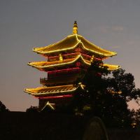 評論圖片 1