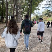 評論圖片 6