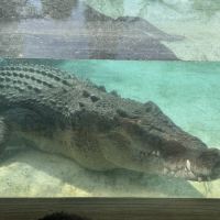 評論圖片 8