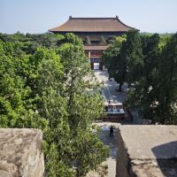 評論圖片 9