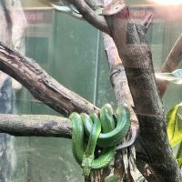 評論圖片 8