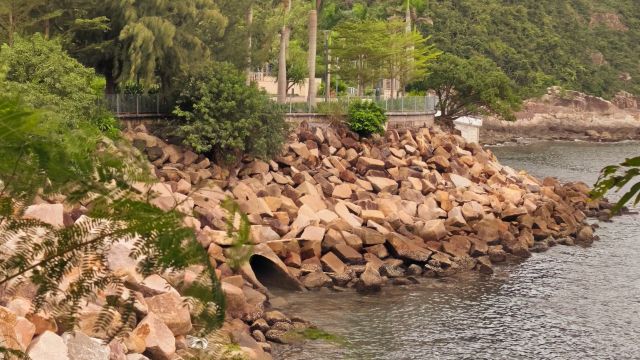 review picture