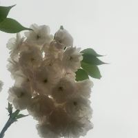 評論圖片 4