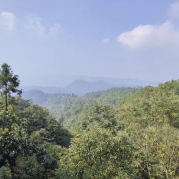 評論圖片 4
