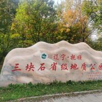 評論圖片 1