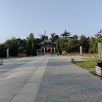 評論圖片 5