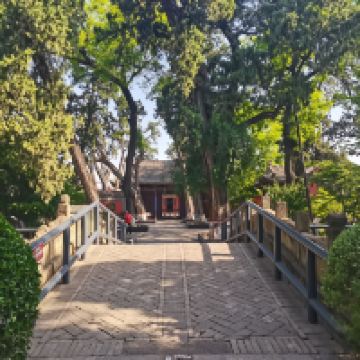 評論圖片 3