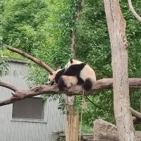 評論圖片 3