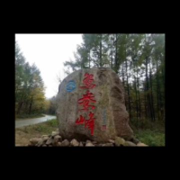 評論圖片 6