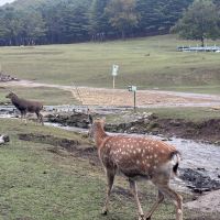 評論圖片 7