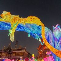 評論圖片 6