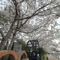 評論圖片 8