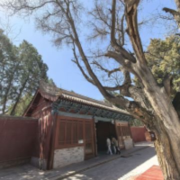 評論圖片 2