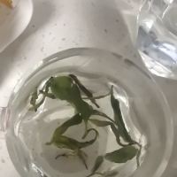 評論圖片 3