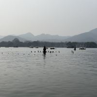 評論圖片 6