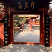 評論圖片 8