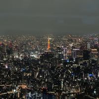 評論圖片 2