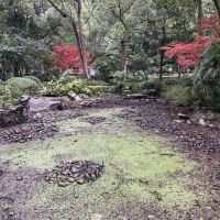 評論圖片 8