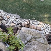 評論圖片 6