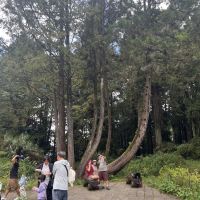 評論圖片 4