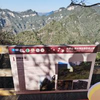 評論圖片 3