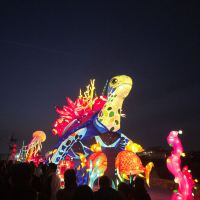 評論圖片 7
