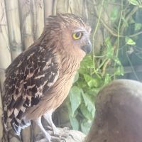 評論圖片 2