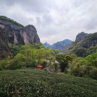 評論圖片 5