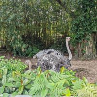 評論圖片 9