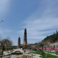 評論圖片 9