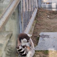 評論圖片 3
