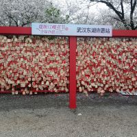 評論圖片 7