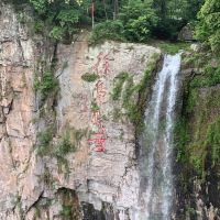 評論圖片 2