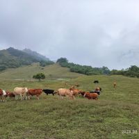 評論圖片 1