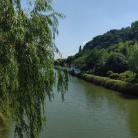 評論圖片 2