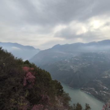 評論圖片 5