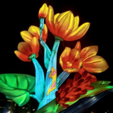 評論圖片 1
