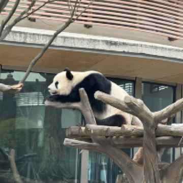 評論圖片 7