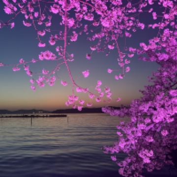 評論圖片 1