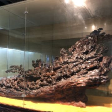 評論圖片 1