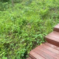評論圖片 6