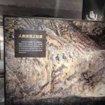 評論圖片 5