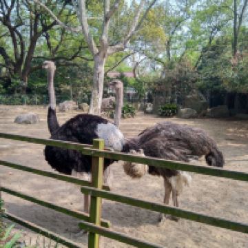 評論圖片 2