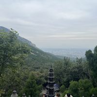 評論圖片 1