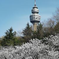 評論圖片 1