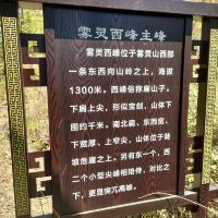 評論圖片 7