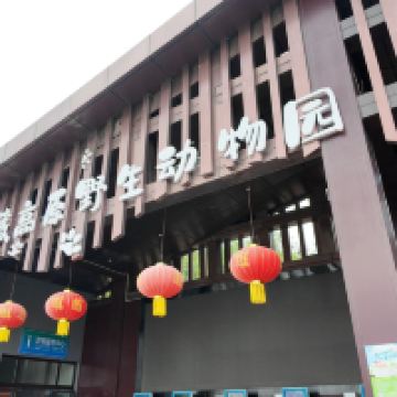 評論圖片 2