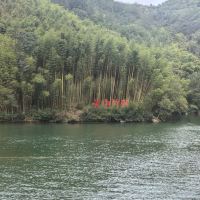 評論圖片 2