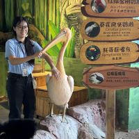 評論圖片 7