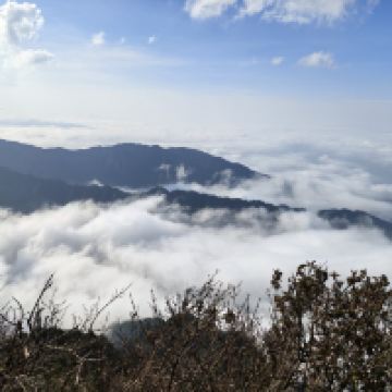 評論圖片 5